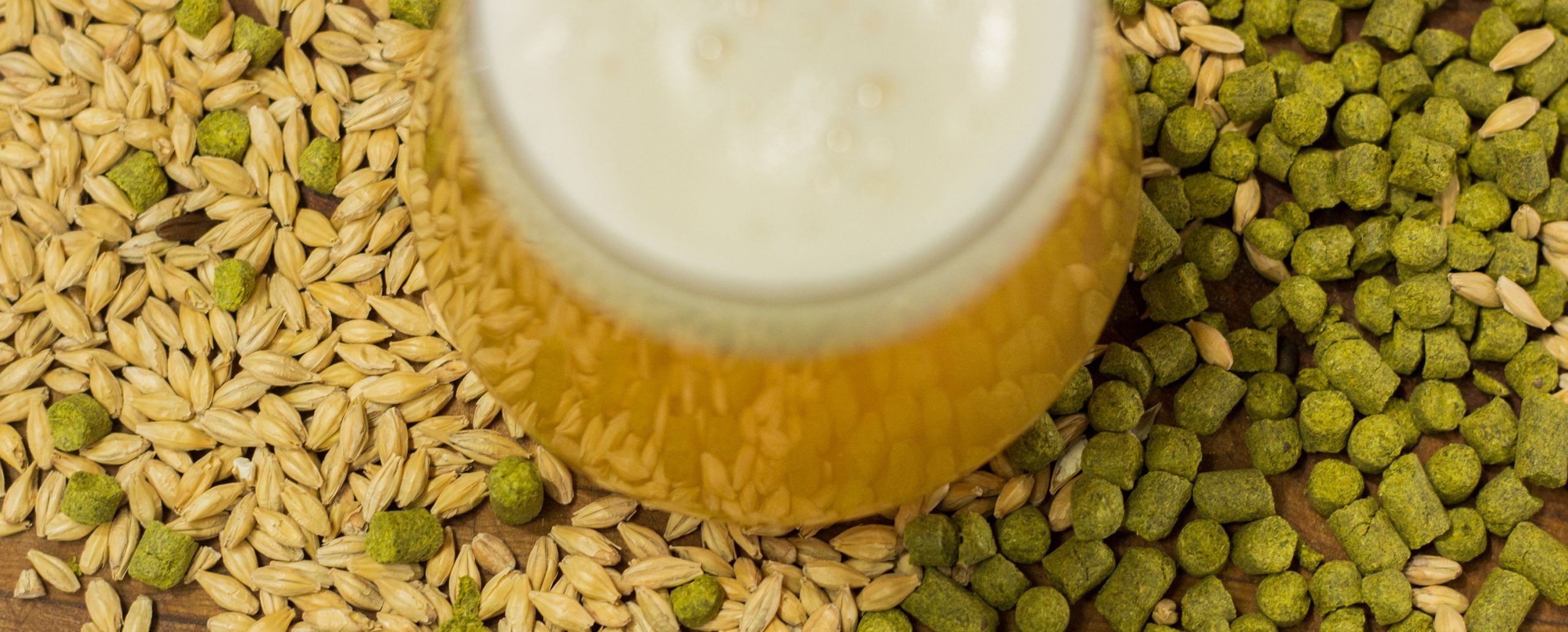PIVO02a_web